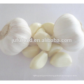 Super pure white garlic